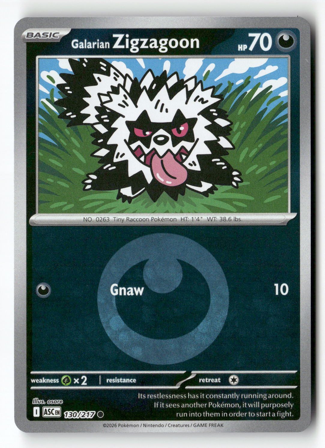 Galarian Zigzagoon (Energy Symbol Pattern)