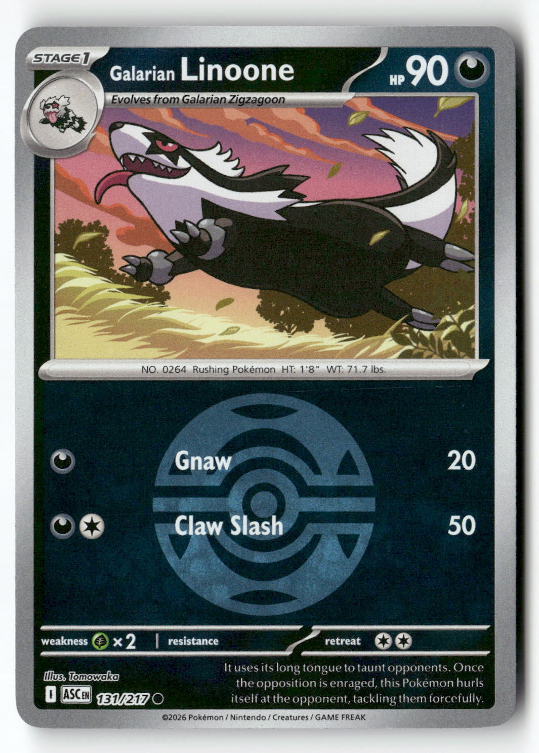 Galarian Linoone (Energy Symbol Pattern)