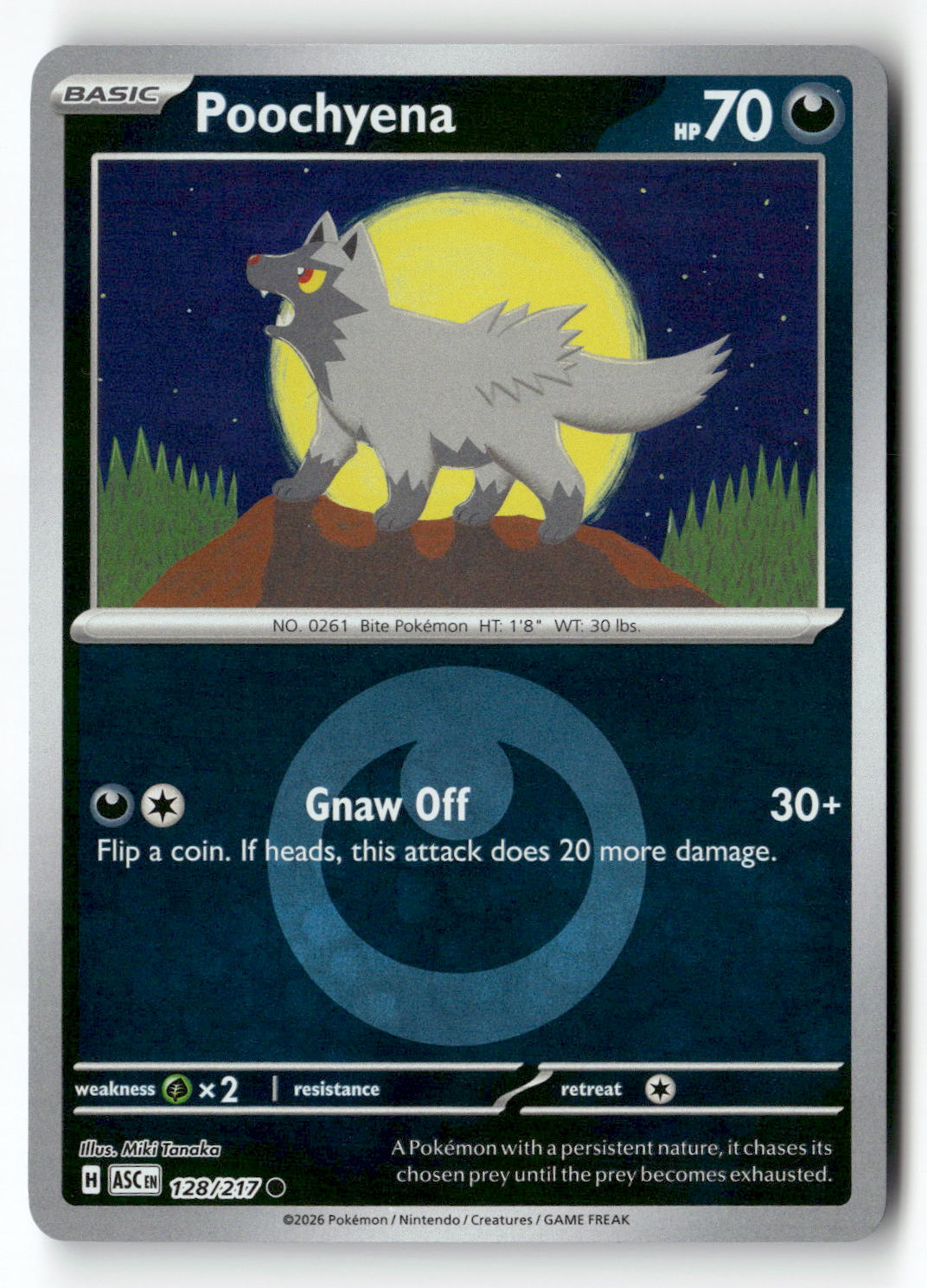 Poochyena (Energy Symbol Pattern)