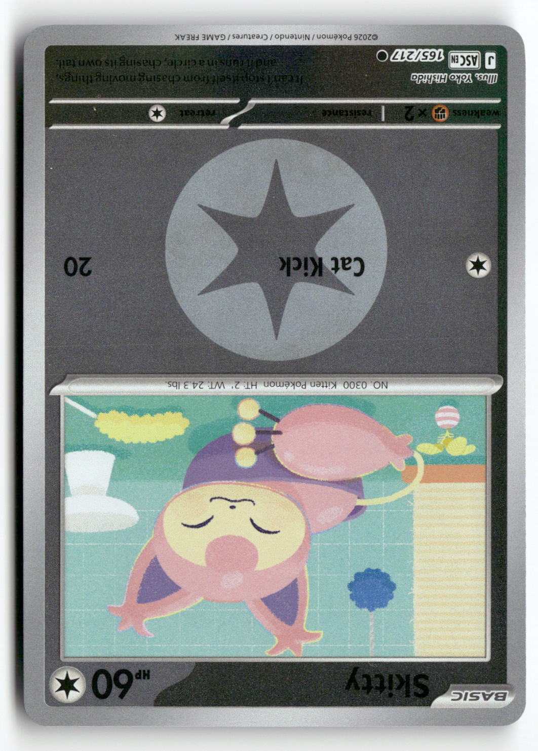 Skitty (Energy Symbol Pattern)