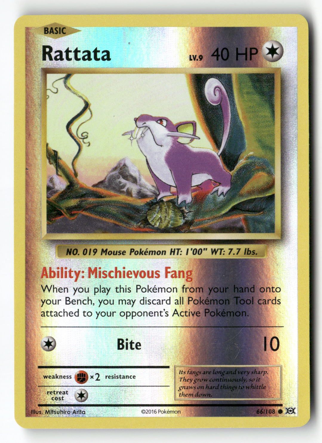 Rattata