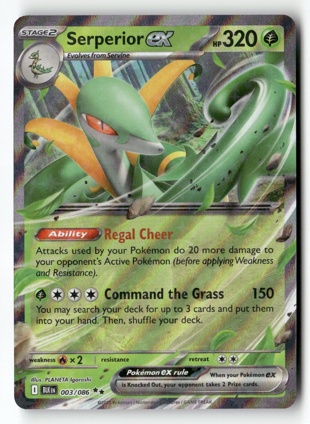 Serperior ex