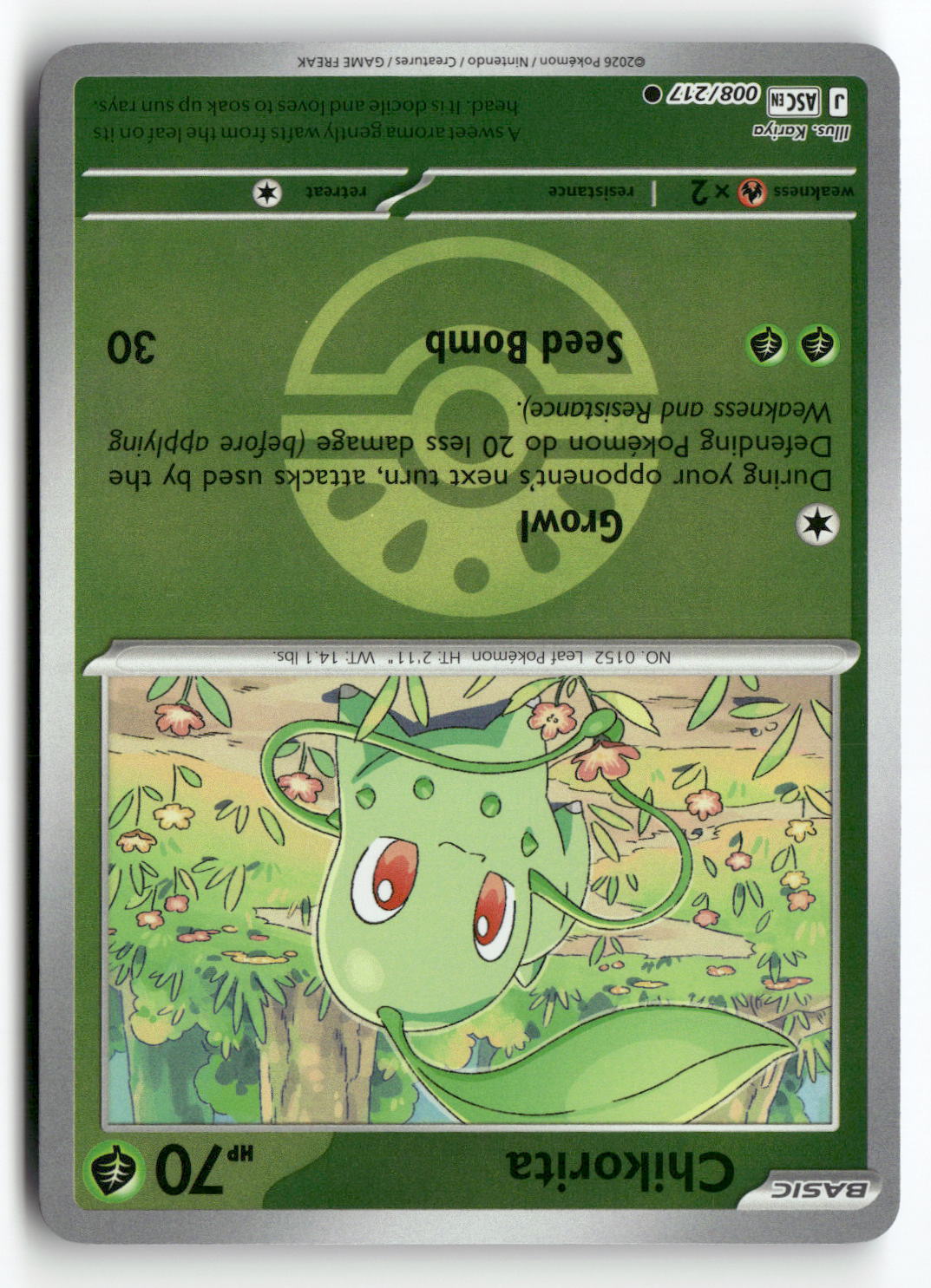 Chikorita (Friend Ball)