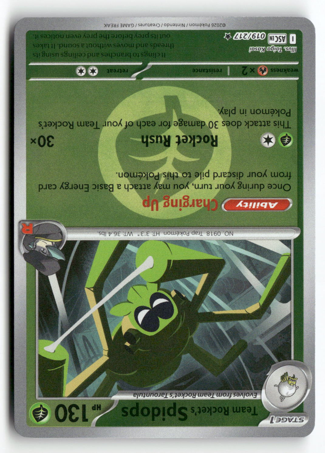 Team Rocket's Spidops (Energy Symbol Pattern)