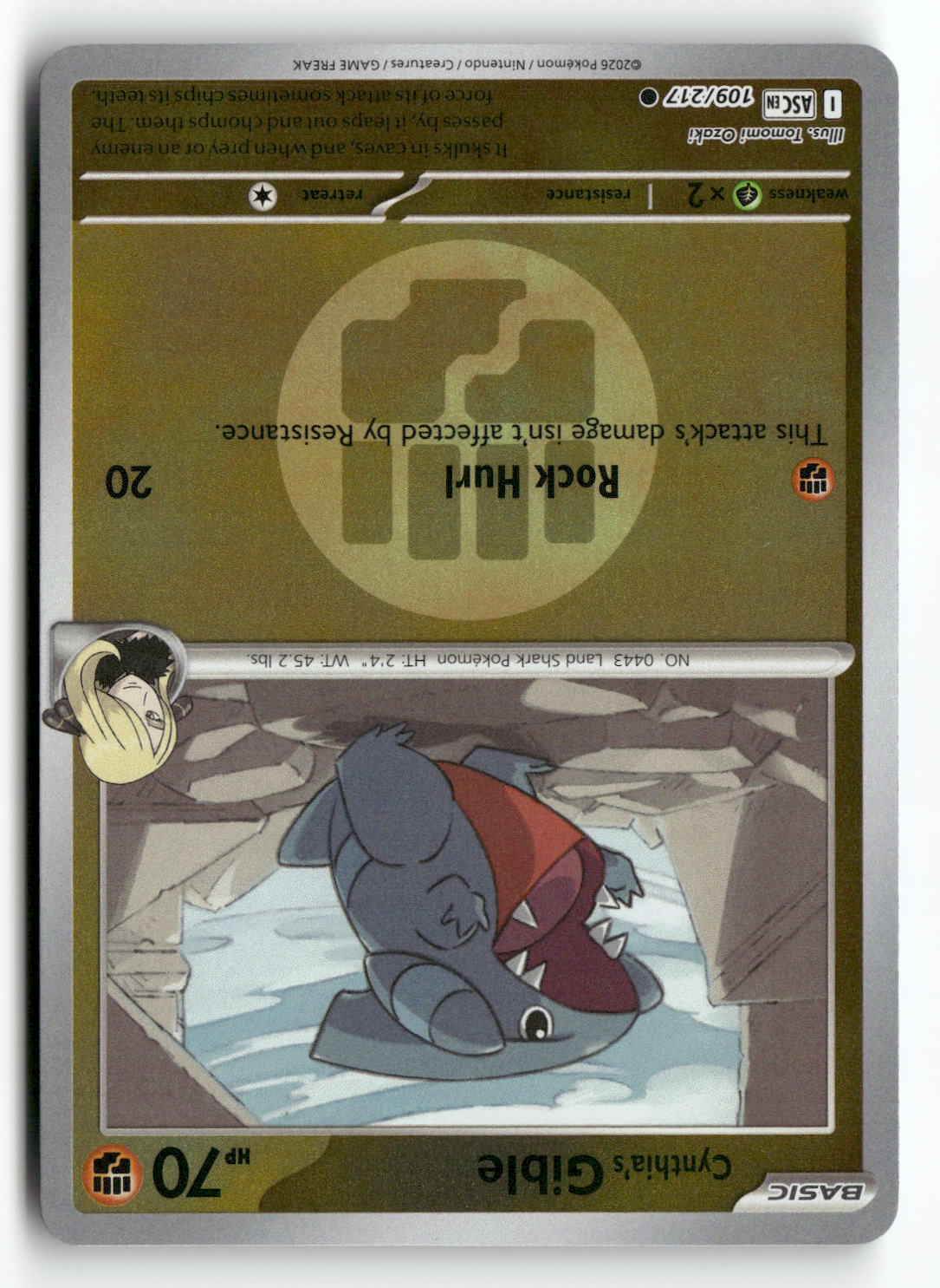 Cynthia's Gible (Energy Symbol Pattern)
