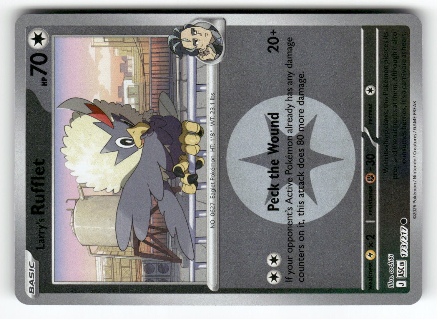 Larry's Rufflet (Energy Symbol Pattern)