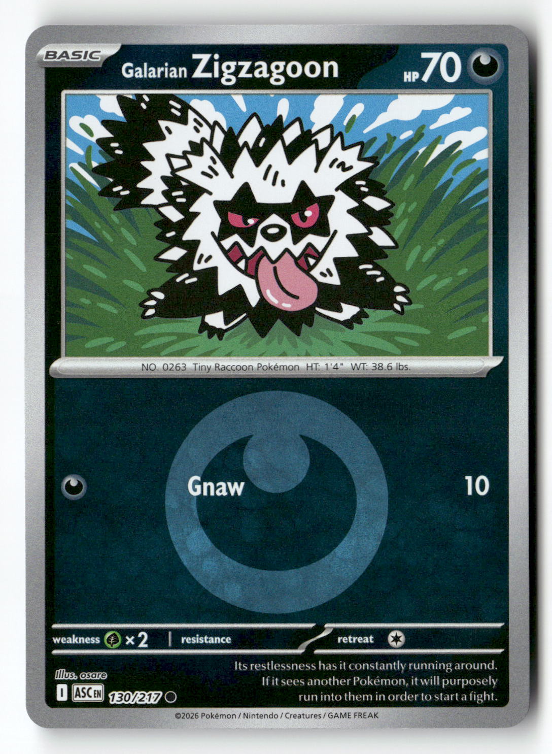 Galarian Zigzagoon (Energy Symbol Pattern)