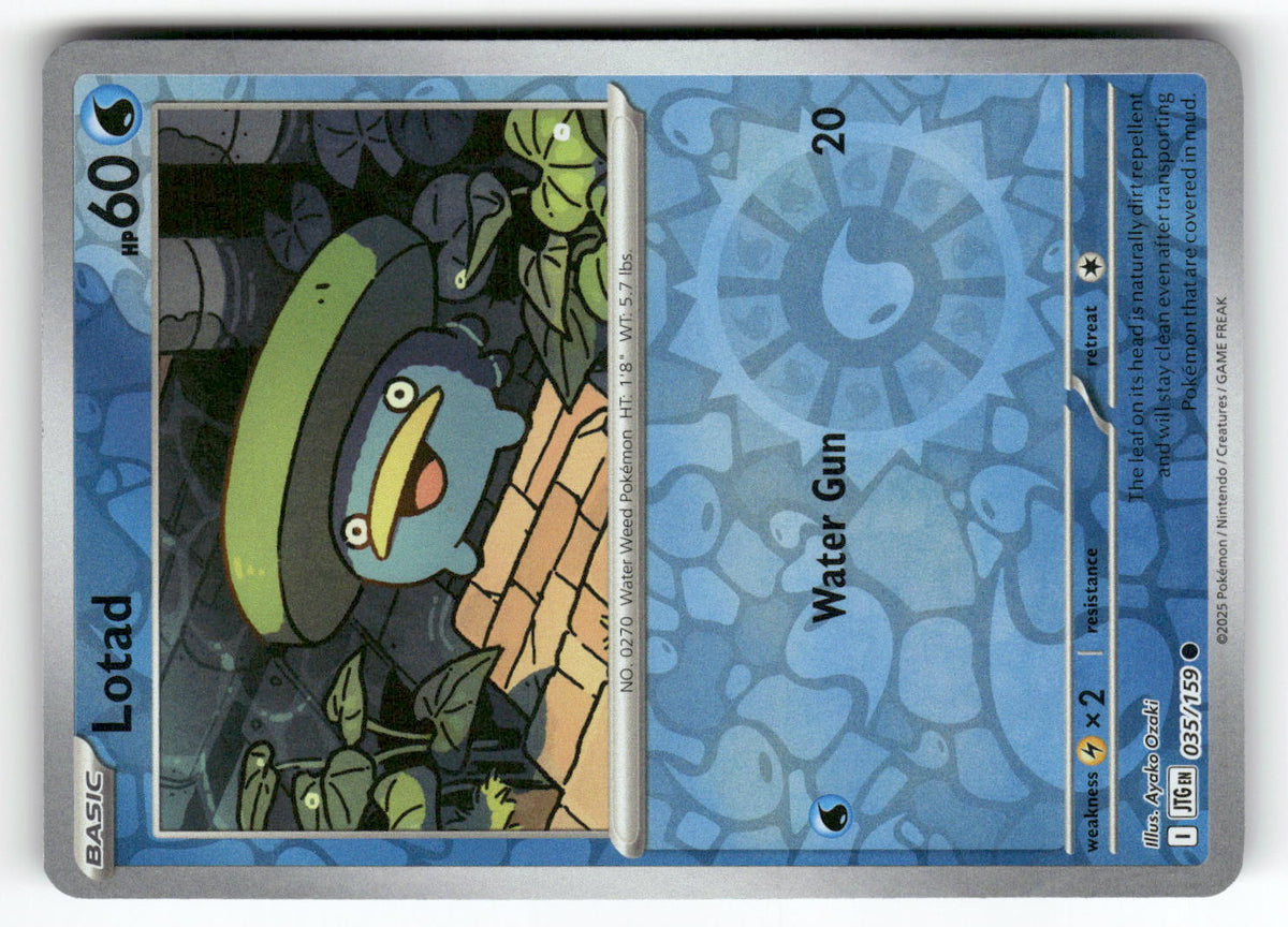 Lotad