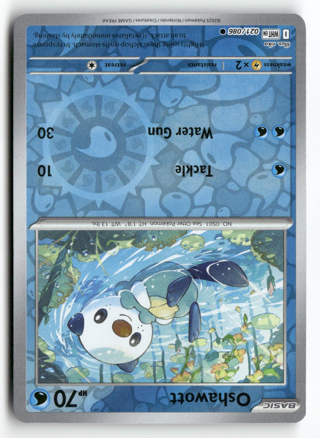 Oshawott