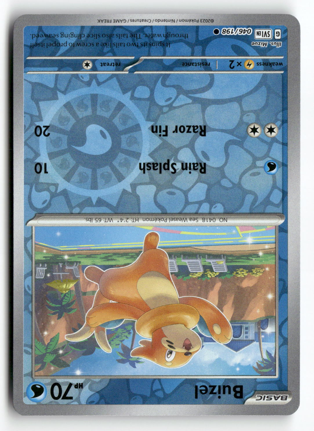 Buizel