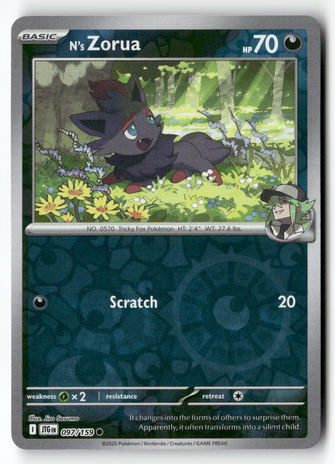 N's Zorua