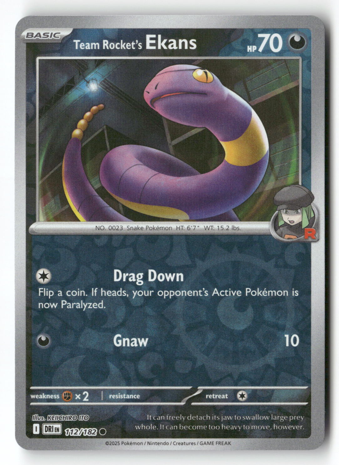 Team Rocket's Ekans