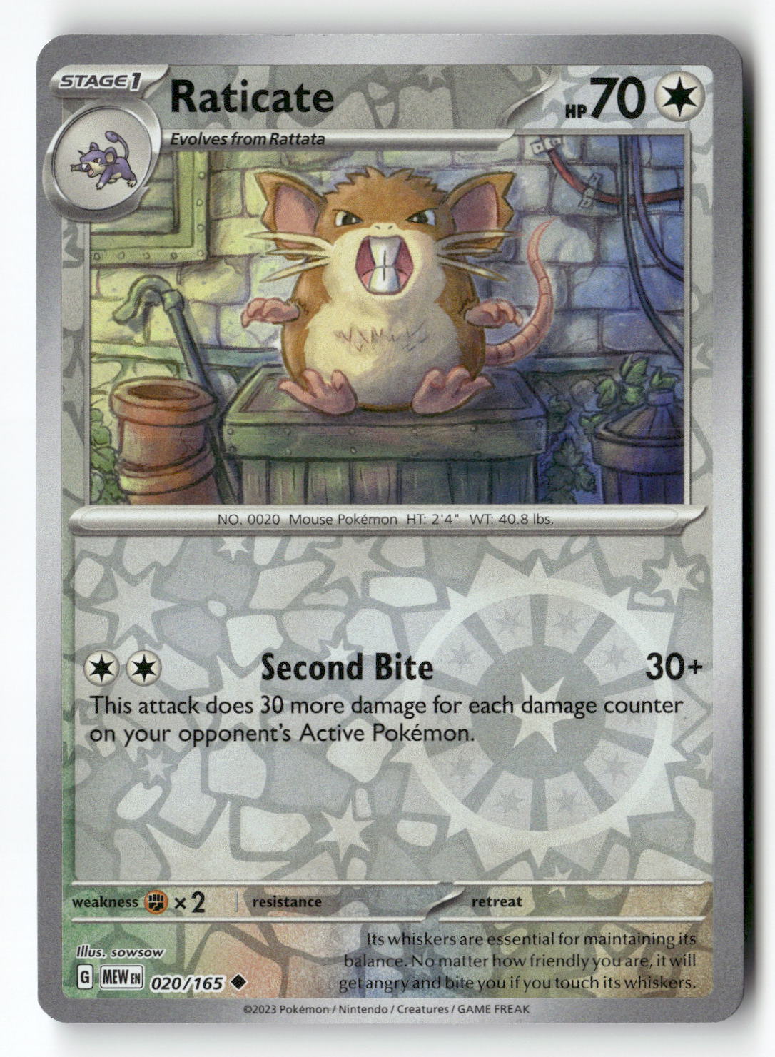 Raticate