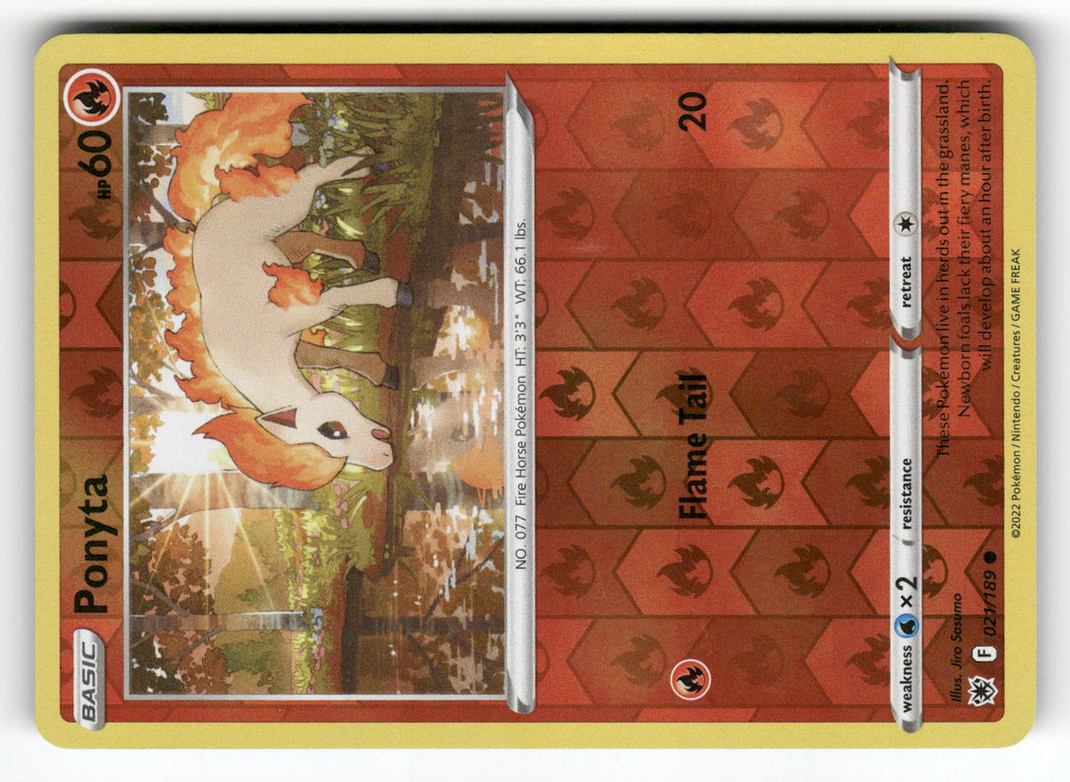 Ponyta