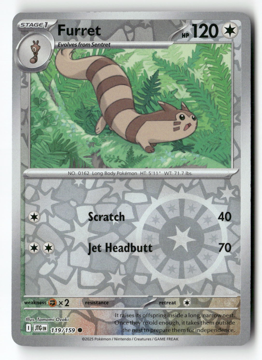 Furret - 119/159