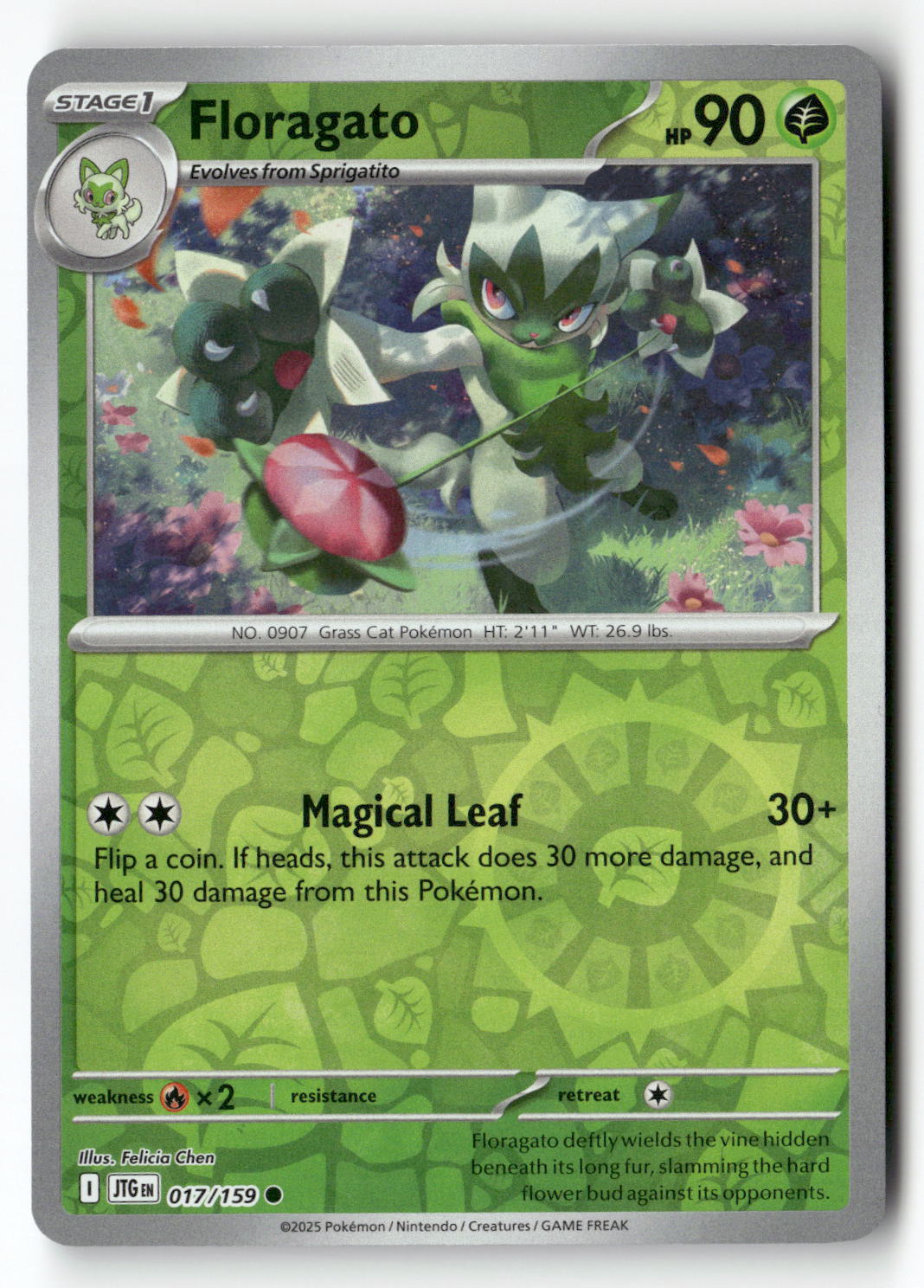 Floragato