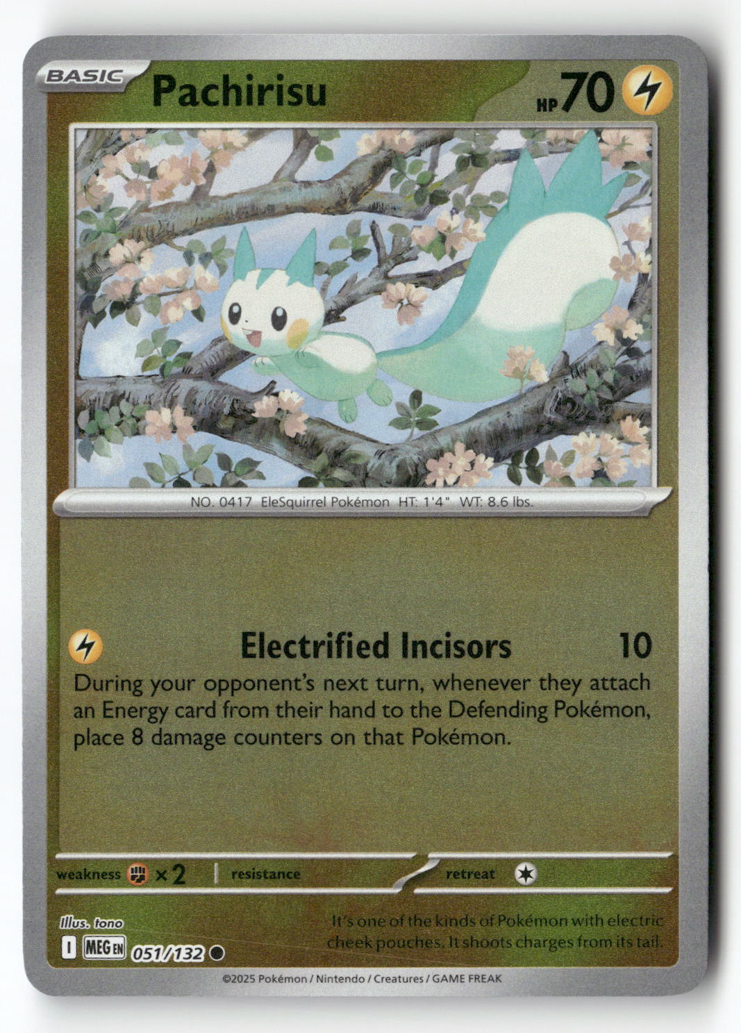 Pachirisu
