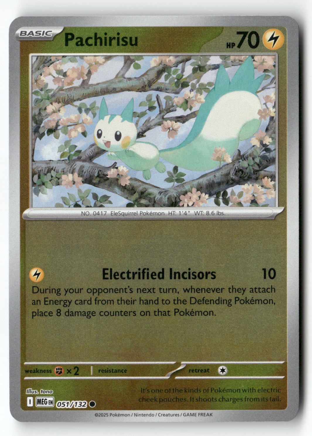 Pachirisu