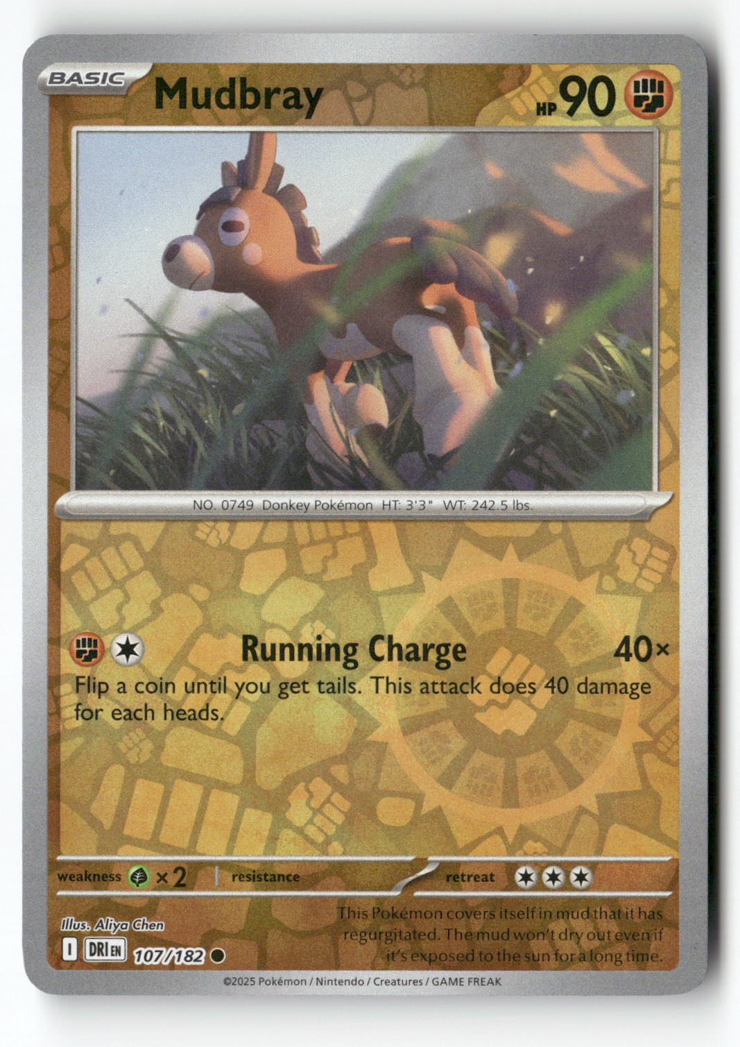 Mudbray