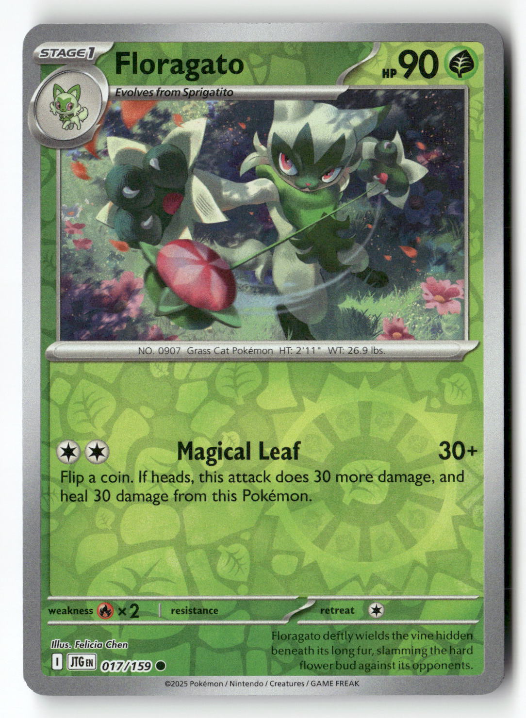 Floragato