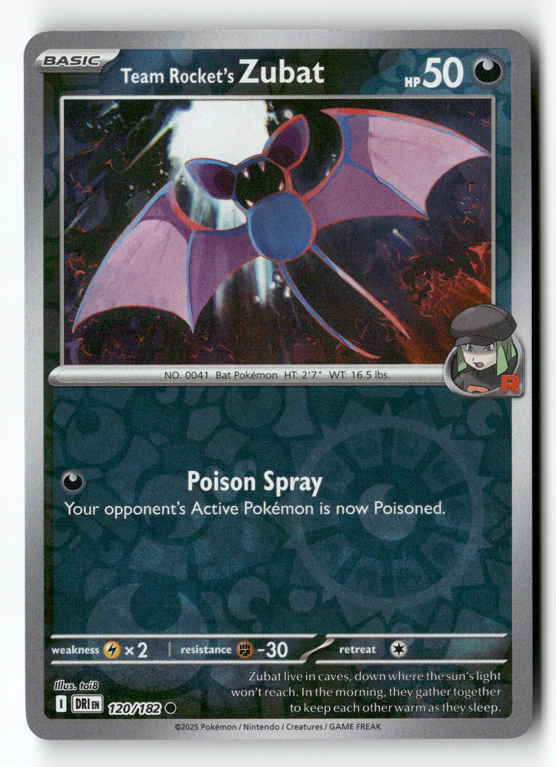 Team Rocket's Zubat