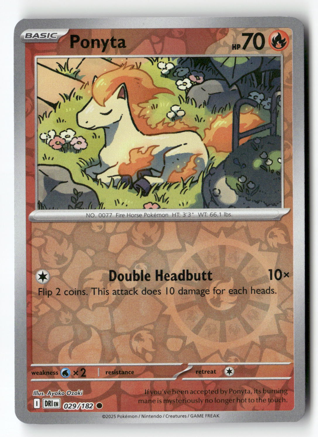 Ponyta
