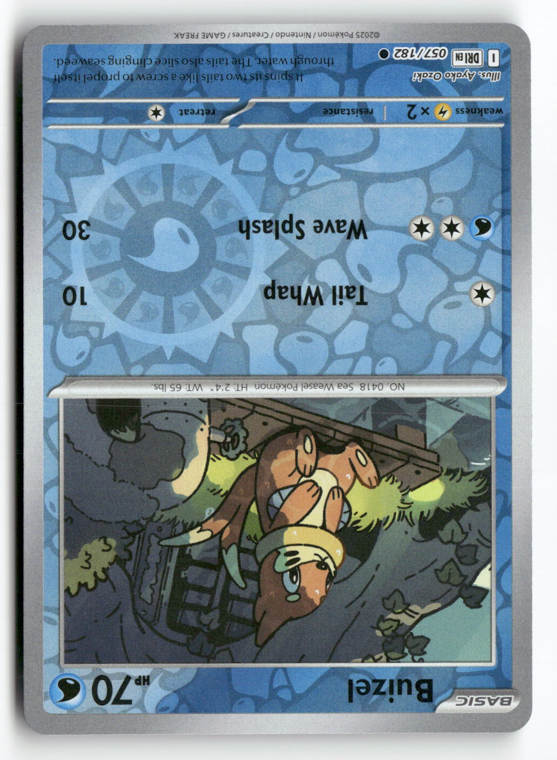Buizel