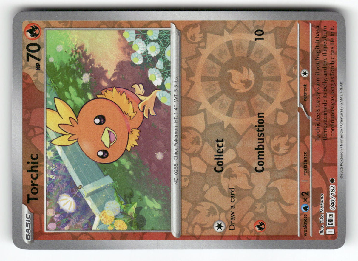 Torchic