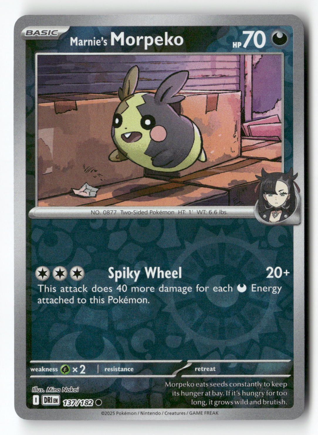 Marnie's Morpeko