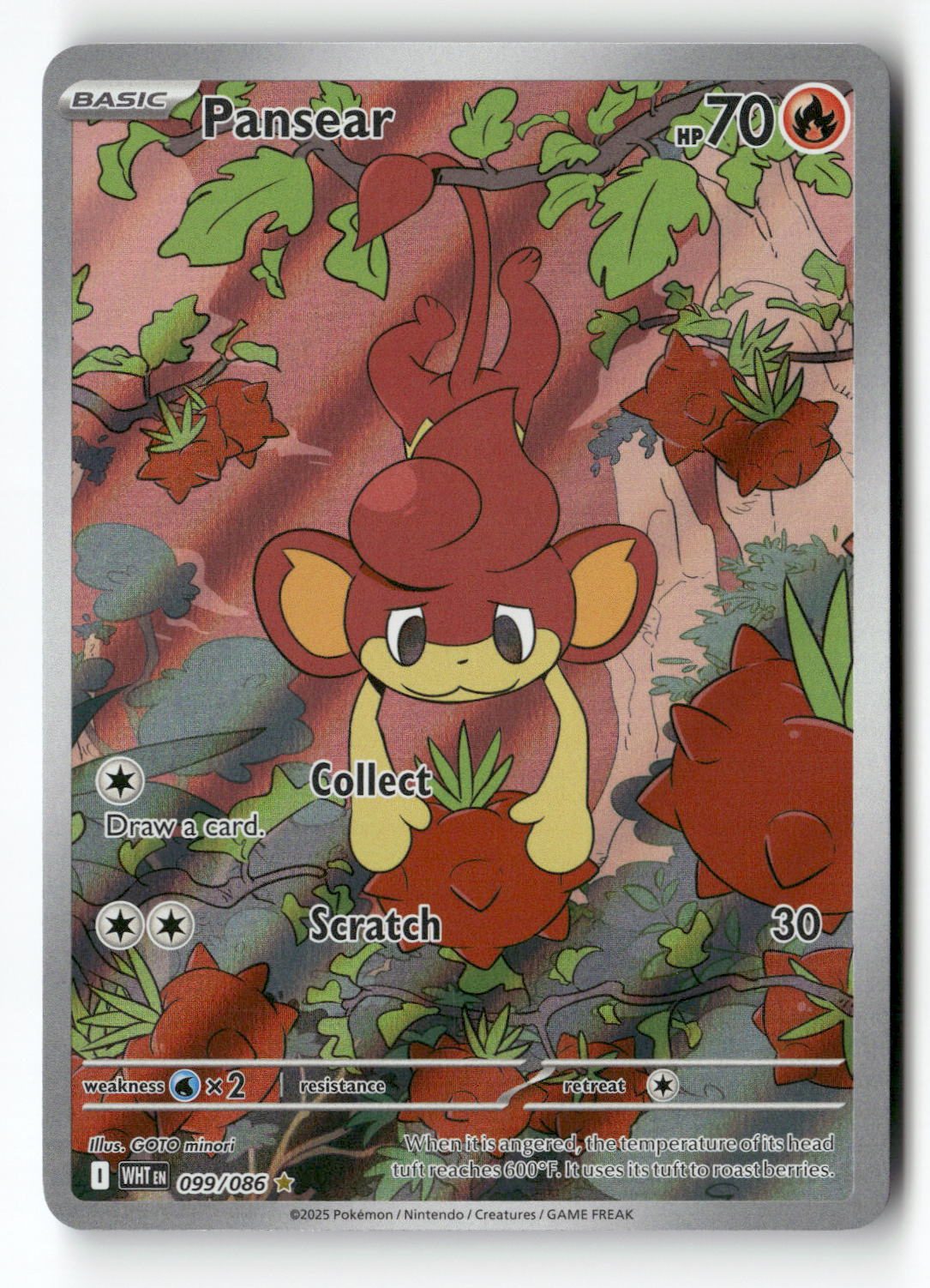 Pansear - 099/086
