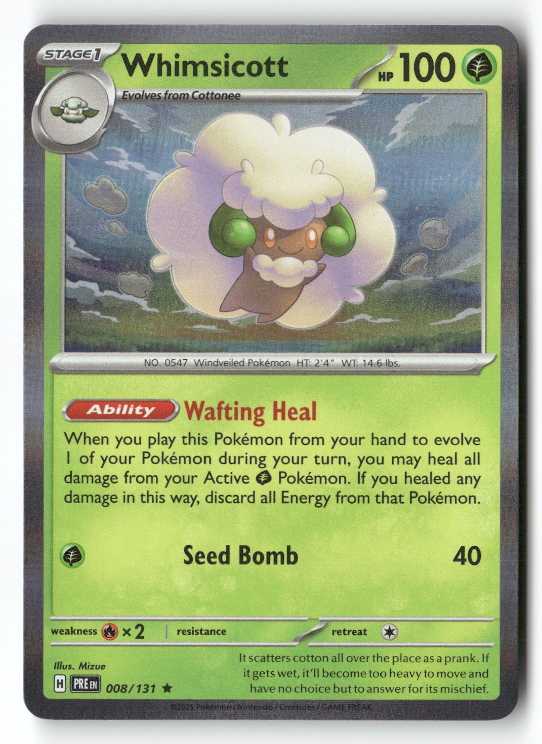 Whimsicott | Near Mint / English / Holofoil