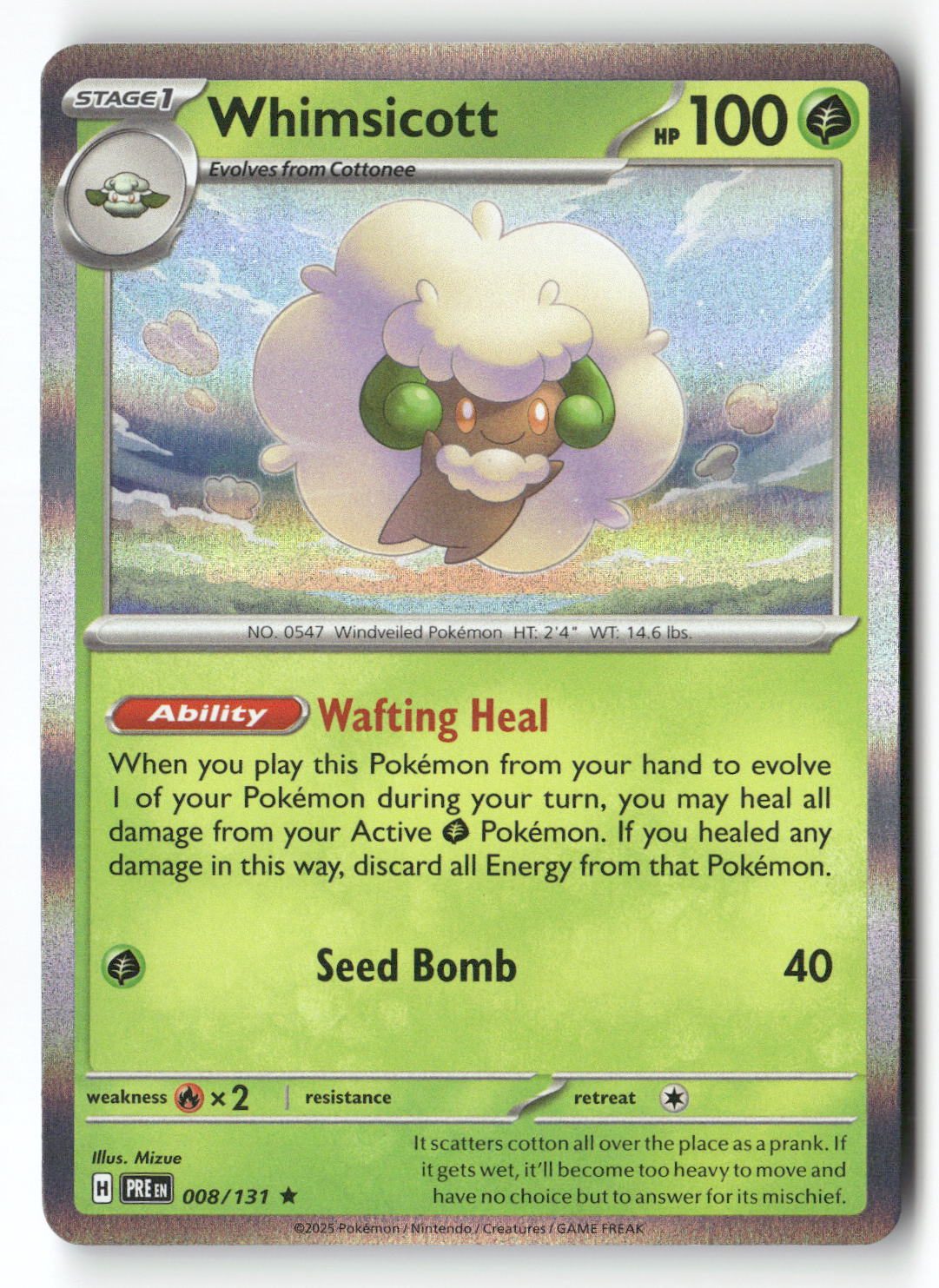 Whimsicott | Near Mint / English / Holofoil