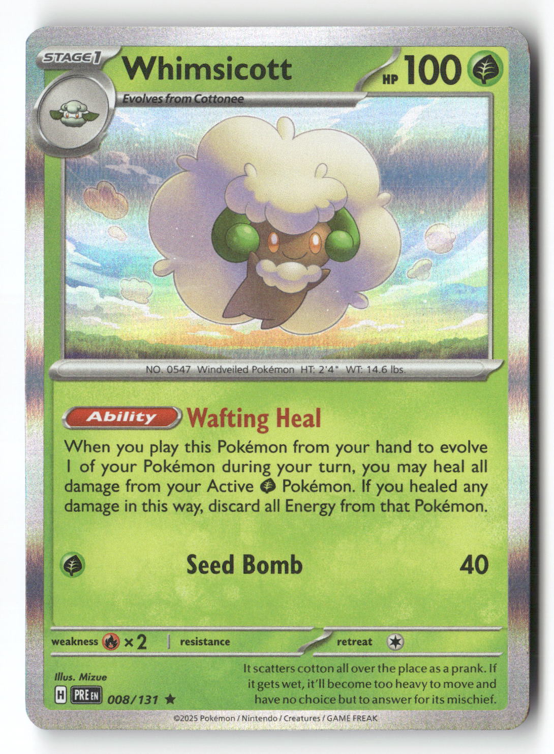 Whimsicott | Near Mint / English / Holofoil