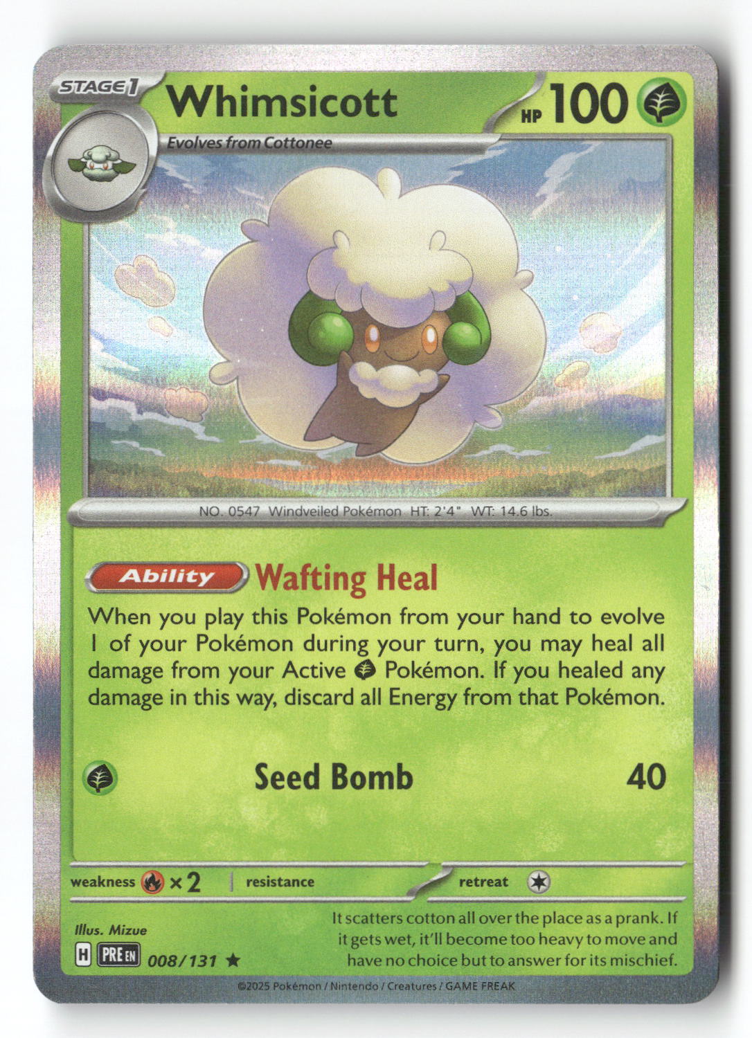 Whimsicott | Near Mint / English / Holofoil
