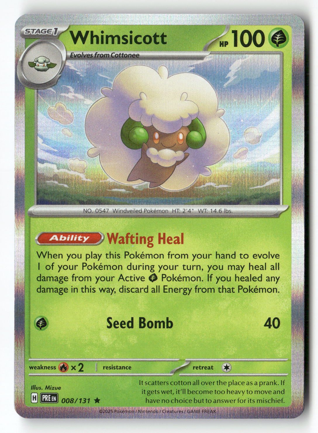 Whimsicott | Near Mint / English / Holofoil