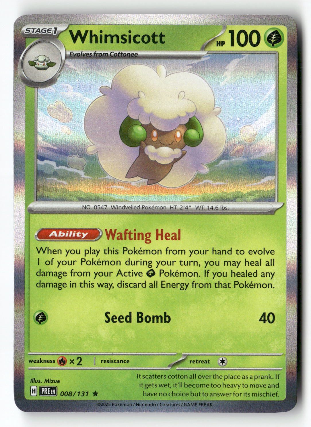 Whimsicott | Near Mint / English / Holofoil
