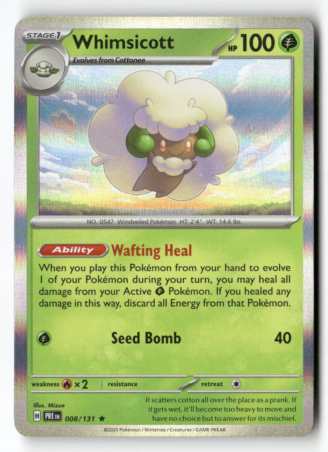 Whimsicott | Near Mint / English / Holofoil