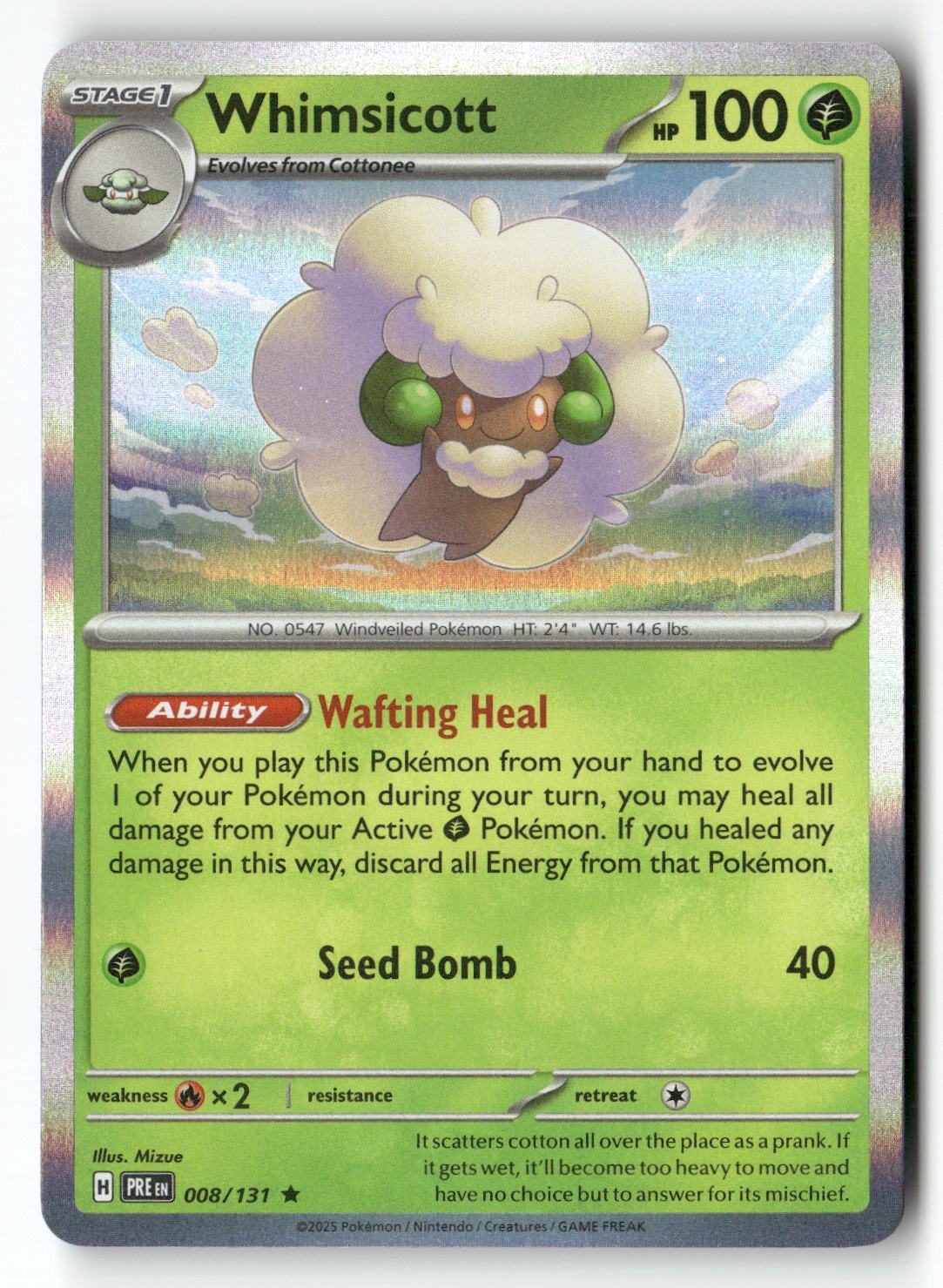 Whimsicott | Near Mint / English / Holofoil