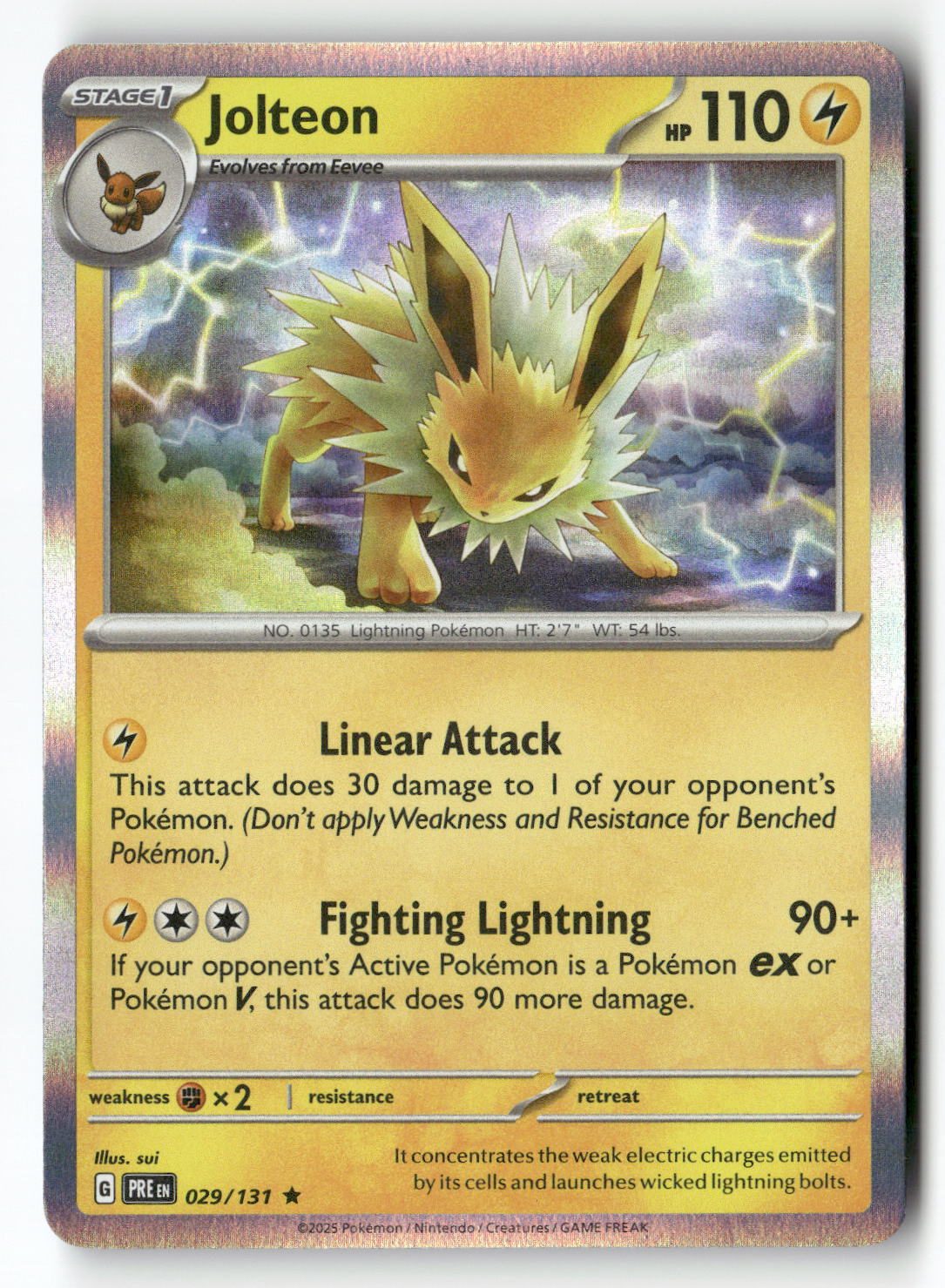 Jolteon | Near Mint / English / Holofoil