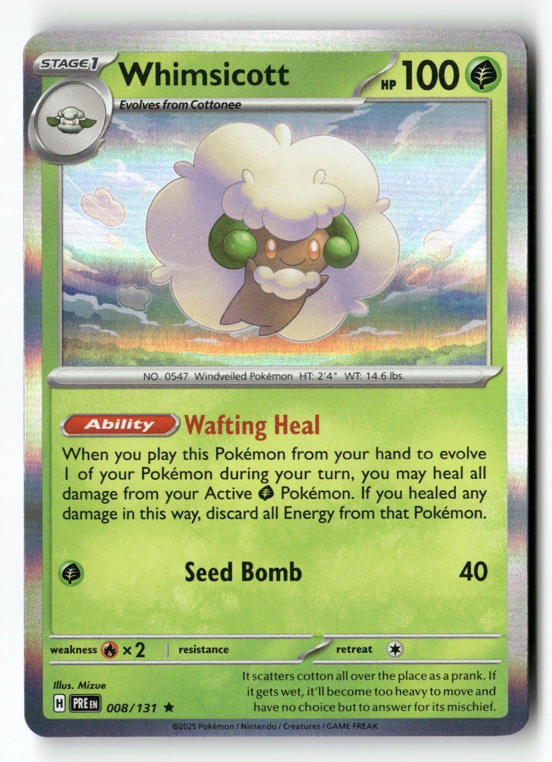 Whimsicott | Near Mint / English / Holofoil