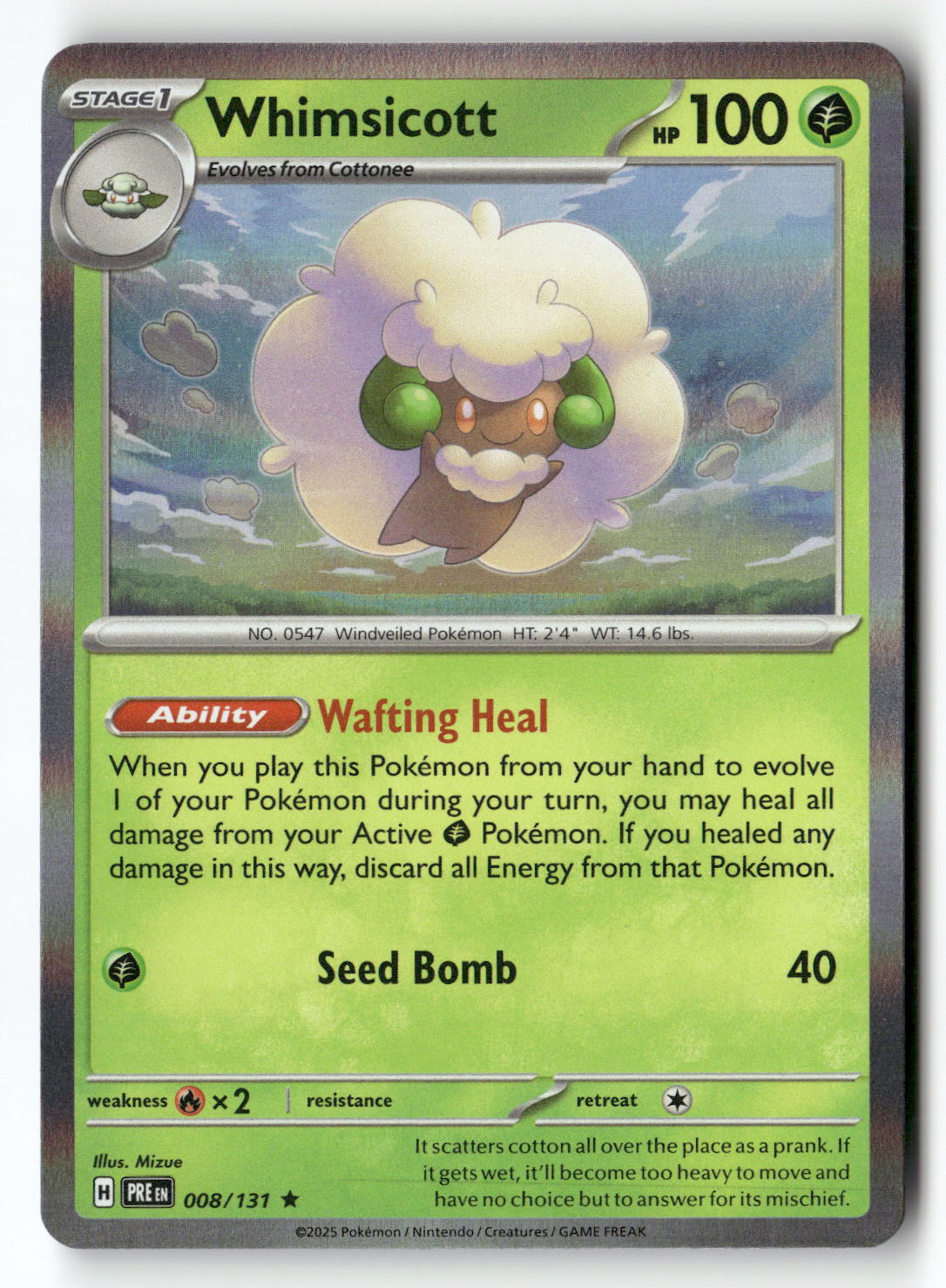 Whimsicott | Near Mint / English / Holofoil